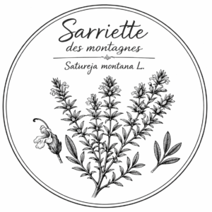 Sarriette des montagnes