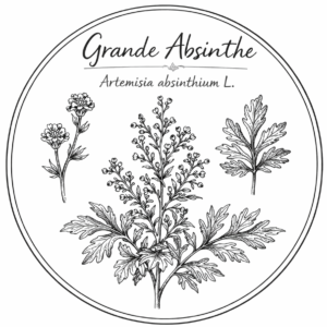 Grande Absinthe