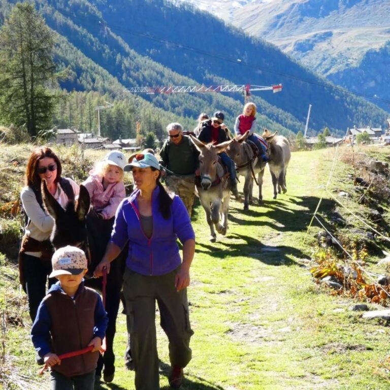 Familles en balade avec les ânes sur un sentier herbeux au-dessus d'un village de l'Oisans