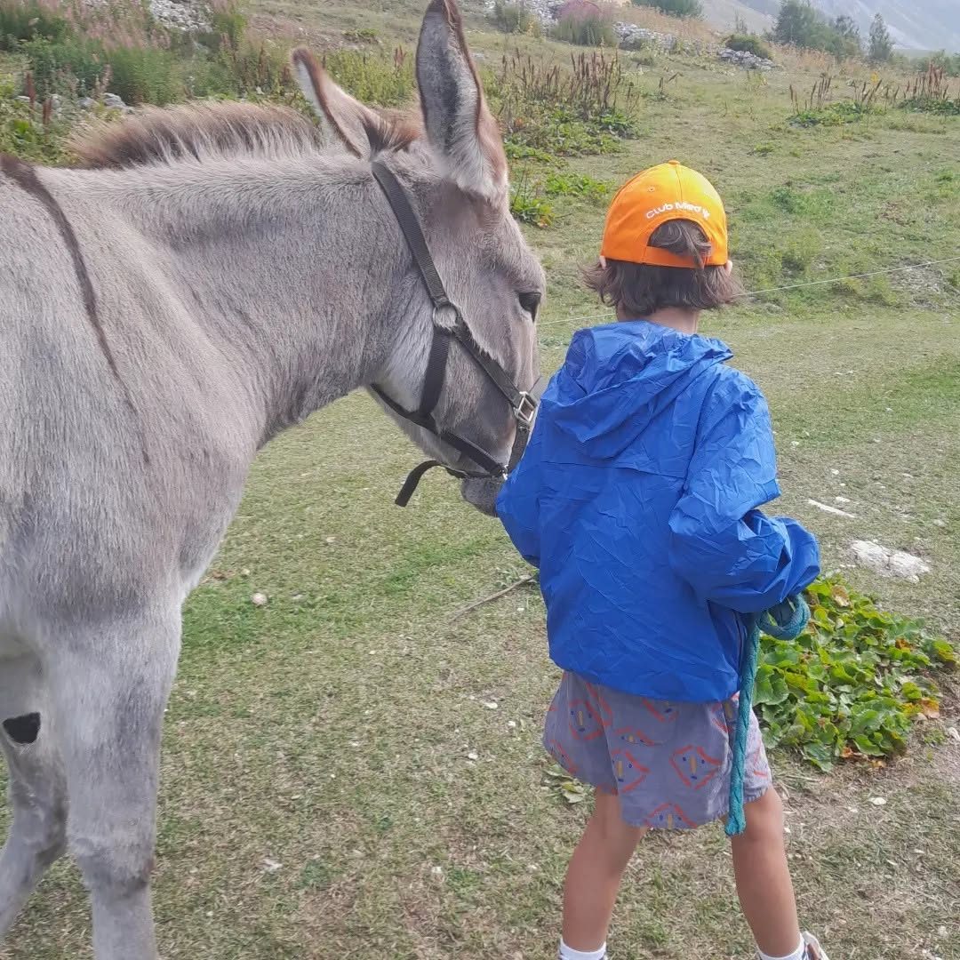 Enfant à la rencontre d'un âne dans un pré de montagne