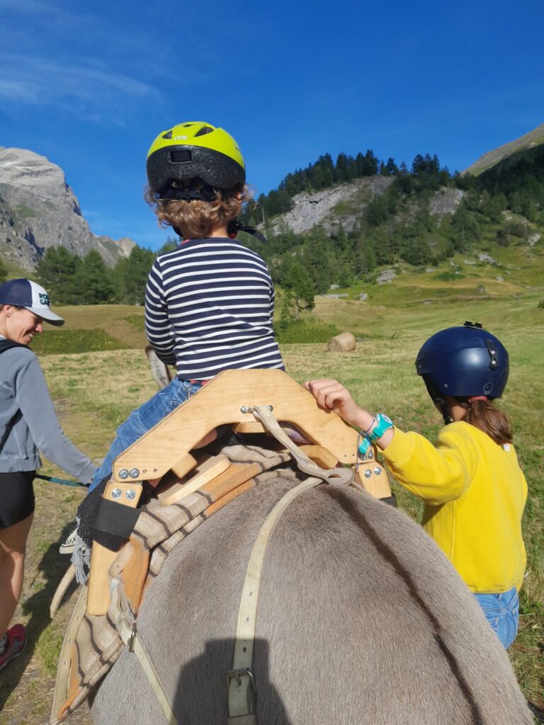 Des enfants casqués à dos d'âne en montagne