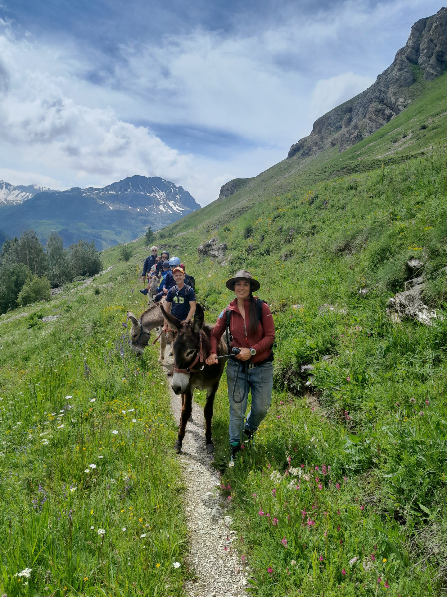 Randonnée avec les ânes sur un sentier d'alpage, dans l'Oisans