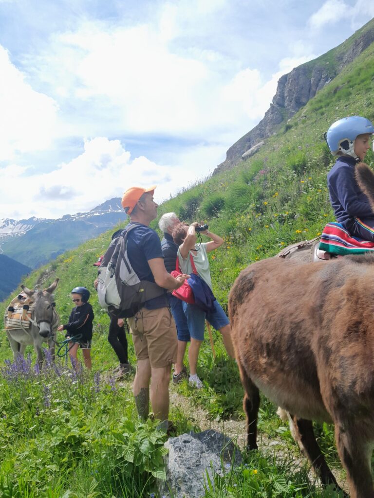 Randonneurs et ânes bâtés sur un sentier d'alpage