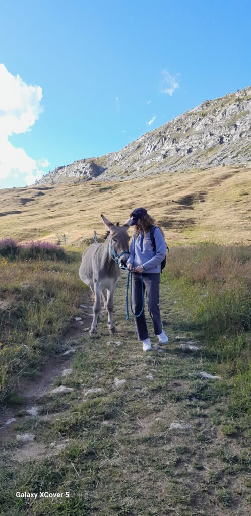 Une randonneuse et son âne sur un sentier de montagne